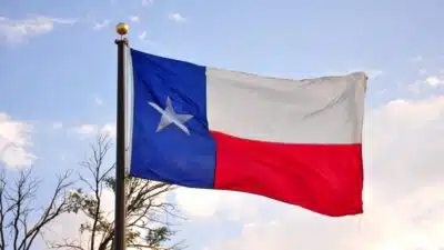 Texas aloca 50 milhões de dólares para a pesquisa com psicodélicos
