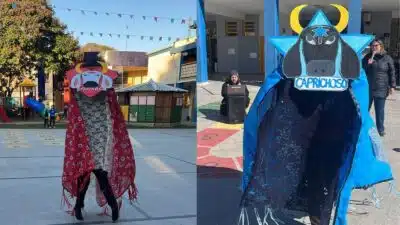 Estudantes do Paraná participam de festival em Parintins, onde homenageiam entidades carnais