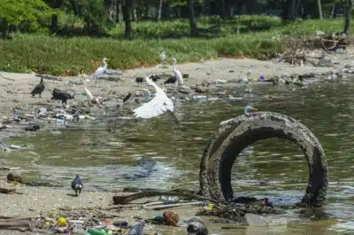 Pescadores recolheram 46 toneladas de resíduos das Baías de Guanabara e Sepetiba