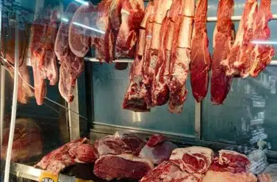 SP - CONSUMO/INFLAÇÃO/CARNE BOVINA - ECONOMIA - Vitrine de um açougue de São Paulo, neste sábado, 09 de novembro de 2024. A carne teve a maior alta de preço nestes   últimos quatro anos. O responsável pelo aumento é a menor oferta do produto devido a seca e as queimadas, a alta da   demanda interna, o aumento nas exportações e a alta da inflação.     09/11/2024 - Foto: MARCO AMBROSIO/ATO PRESS/ESTADÃO CONTEÚDO