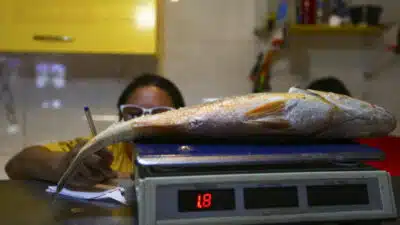 Vendedores e frequentadores na Feira da Ceilândia.