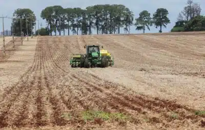 PR - COLHEITA/INÍCIO - ECONOMIA - Produtores rurais aproveitaram o tempo ensolarado para começar a colheita de soja em Campo Mourão, na Região Centro-Oeste do Paraná. Na foto, produtor rural semeia grãos de milho com trator. 25/01/2025 - Foto: DIRCEU PORTUGAL/FOTOARENA/FOTOARENA/ESTADÃO CONTEÚDO