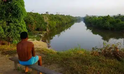 Madeireira Transbon é considerada culpada e deve pagar R$ 22,8 milhões por derrubar área de terras indígenas no Pará