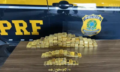 Polícia Rodoviária Federal realiza maior apreensão de ouro na história em rodovia do estado do Roraima Polícia Rodoviária Federal realiza maior apreensão de ouro na história em rodovia do estado do Roraima