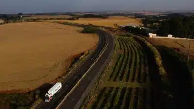 EPR vence leilão do Lote 4 no Paraná com grande desconto EPR vence leilão do Lote 4 no Paraná com grande desconto