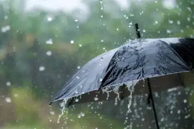 Previsão do tempo para domingo (19): chuvas intensas e frio no Sul e Sudeste! Previsão do tempo para domingo (19): chuvas intensas e frio no Sul e Sudeste!