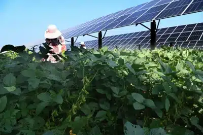 Prefeitos paulistas em Zhejiang: conheça inovações agrícolas e de IA da China
