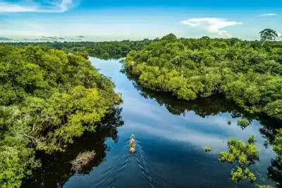 COP30: 5 mil investidores buscam desbloquear financiamento climático no Brasil COP30: 5 mil investidores buscam desbloquear financiamento climático no Brasil