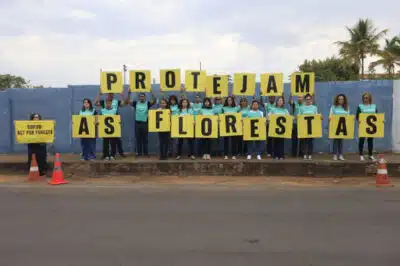 Brasil busca US$ 25 bilhões em doações para Fundo de Florestas Tropicais na COP-30