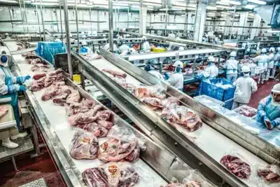 Minerva Foods abre trainee com salário de R$ 8 mil em São Paulo