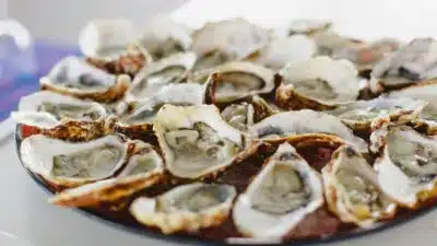 Ostras de Cabaraquara conquistam selo e produção de 80 mil dúzias Ostras de Cabaraquara conquistam selo e produção de 80 mil dúzias