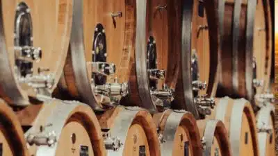 Tenuta Roletto: Erbaluce e Renascimento do Vinho Italiano Tenuta Roletto: Erbaluce e Renascimento do Vinho Italiano