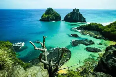 Erros em Fernando de Noronha: multa de R$ 10 mil por tocar tartaruga-marinha e outras proibições Erros em Fernando de Noronha: multa de R$ 10 mil por tocar tartaruga-marinha e outras proibições