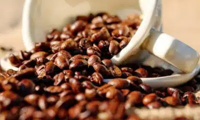 Café Arábica Paulista se destaca com selo do INPI e impulsiona turismo Café Arábica Paulista se destaca com selo do INPI e impulsiona turismo