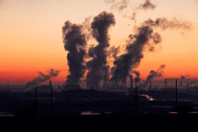 ONU alerta sobre níveis recordes de CO² em 2024 e eficácia reduzida de sumidouros de carbono ONU alerta sobre níveis recordes de CO² em 2024 e eficácia reduzida de sumidouros de carbono