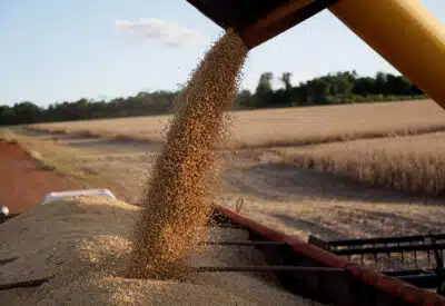 Acordo EUA-China por Soja: Trump e Xi Reviram o Mercado Global Acordo EUA-China por Soja: Trump e Xi Reviram o Mercado Global