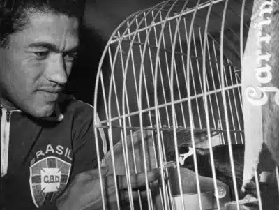 Garrincha: 92 anos de genialidade e Copa do Mundo! Garrincha: 92 anos de genialidade e Copa do Mundo!