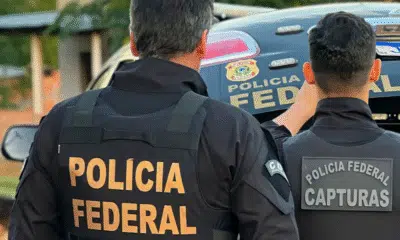 PF em Guarulhos desmantela tráfico de animais silvestres e apreende 18 pássaros PF em Guarulhos desmantela tráfico de animais silvestres e apreende 18 pássaros