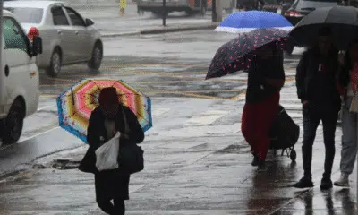 Defesa Civil alerta: São Paulo enfrentará temporais e ventos fortes de sábado a segunda-feira Defesa Civil alerta: São Paulo enfrentará temporais e ventos fortes de sábado a segunda-feira