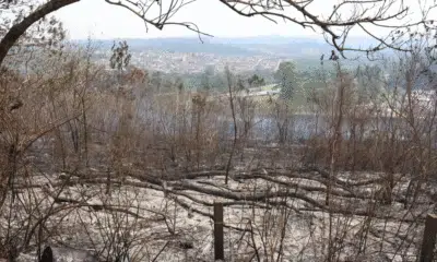 São Paulo em alerta: queimadas ameaçam reservatórios e Vale do Paraíba