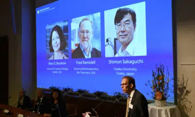 Nobel de Medicina 2025: Brunkow, Ramsdell e Sakaguchi recebem prêmio