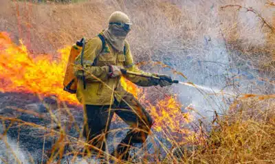 Incêndio na Chapada dos Veadeiros é intensificado por raios; ICMBio aponta 1,5 mil hectares afetados Incêndio na Chapada dos Veadeiros é intensificado por raios; ICMBio aponta 1,5 mil hectares afetados