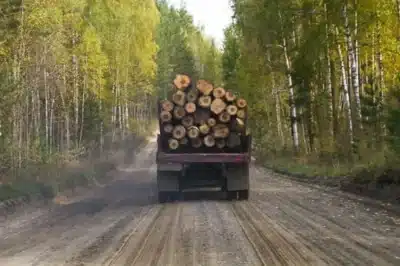 Channon Kennedy: de bancária a empresária com sucesso no Morgan Square Channon Kennedy: de bancária a empresária com sucesso no Morgan Square