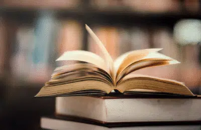 Venda de livros dispara em setembro com recorde em 2024