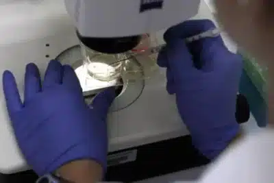 UEPB, Unesp e UFPR desenvolvem projetos para detecção rápida de metanol