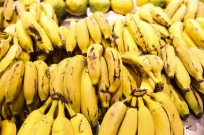 Deputada Rosana Valle propõe proibição da importação de bananas no Brasil
