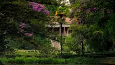 Santa Rita eleita melhor vinícola do mundo e celebra legado histórico!