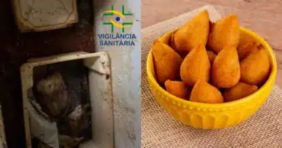 Vigilância Sanitária em Goiânia fecha fábrica clandestina de salgados por risco à saúde