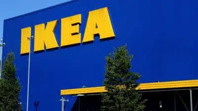 IKEA e BTG Pactual investem em reflorestamento da Mata Atlântica com foco em carbono