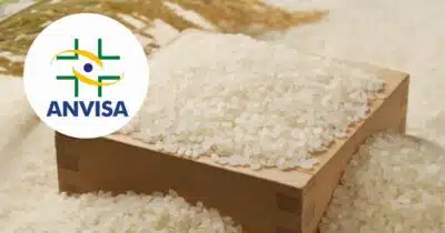 Arroz: Alerta da Anvisa e riscos do arsênio em massa devido às mudanças climáticas