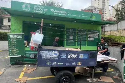 Lei de Incentivo à Reciclagem impulsiona projeto inovador no Brasil e gera renda para catadores