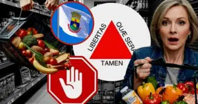 Dia Supermercados: Recuperação Judicial, Reestruturação e Nova Estratégia para o Varejo Brasileiro