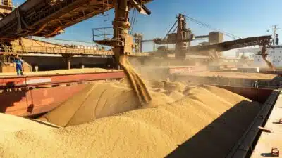 China bate recorde em importação de soja e compra 20 cargas no Brasil