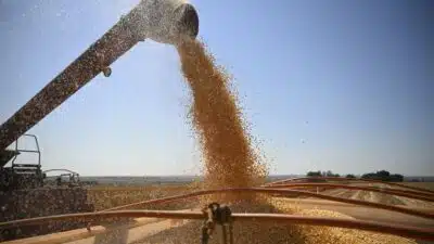 Balcão Agrícola do Brasil registra primeira liquidação física em 15 anos