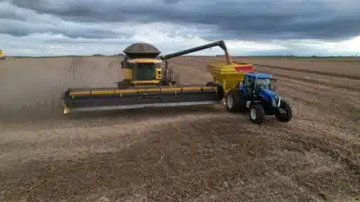 Mercado de Soja em Alta: Preços Aumentam e China em Destaque no Comércio