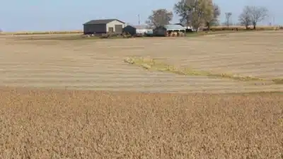 Acordos Trump-Xi Beneficiam Agricultores e Soja da China em Negociações Urgentes