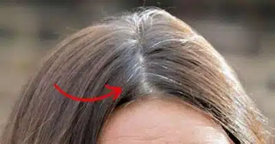 Camomila Escurece Fios Brancos: Dica Caseira Surpreende e Transforma Cabelo!