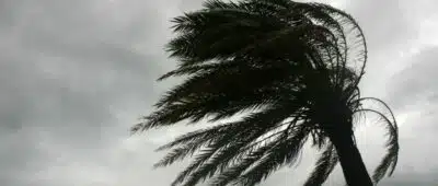 COP30 e os Tufões: Urgente Ação para Proteção no Sudeste Asiático e Além