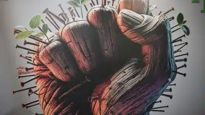 ONU detecta otimismo relutante em redução de emissões globais após ano de desastres climáticos