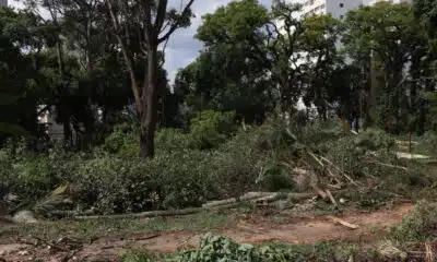 Marina Silva Lança Coalizão Global Contra Crimes Ambientais com 9 Países