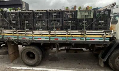 Polícia Civil desarticula esquema de falsificação de bebidas alcoólicas em SP e Paraná