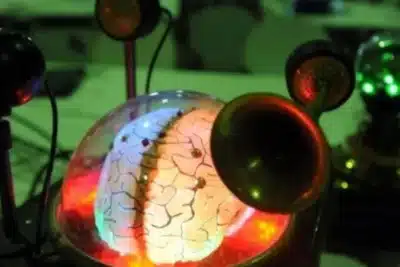 Universidade de Cambridge Revela 5 Eras na Organização do Cérebro Humano