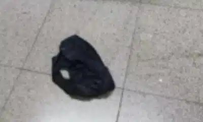 Fórum de Cachoeiro: Mistério da Calcinha Desafia Justiça e Aciona Investigação Urgente