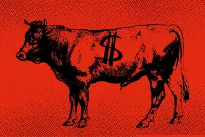 Brasil e EUA: Crise na Carne Bovina e Impacto Global na Oferta e Preços!