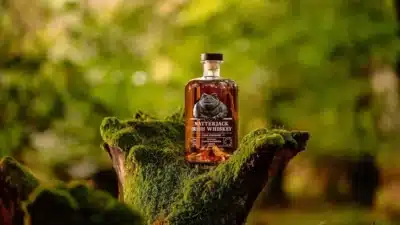 Uísque Irlandês Renasce: Novas Destilarias e Sabores Exclusivos Conquistam o Paladar!