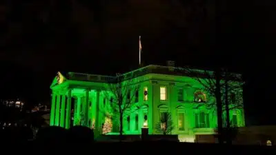 Trump Revoluciona Leis de Drogas: Maconha Elevada e Mercado Bilionário em Ascensão!